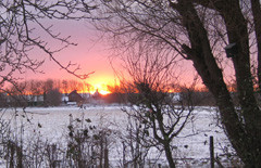 Copy (1) of IMG_1944.JPG